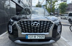 팰리세이드_7909