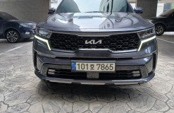 쏘렌토_7865