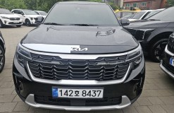셀토스_8437